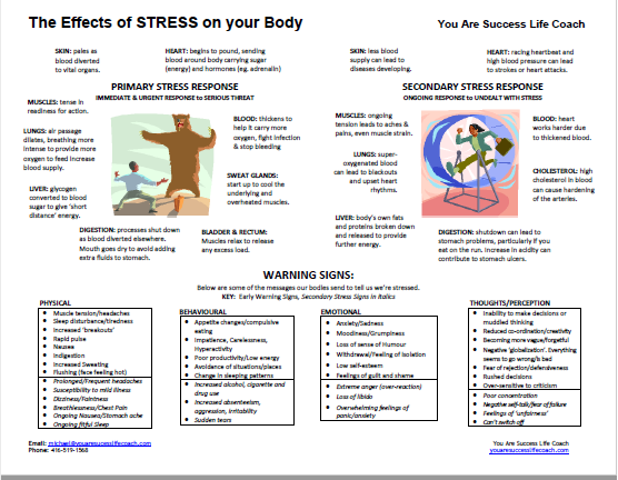 Effects-of-Stress-and-Warning-Signs-Poster | You Are A Success - Life ...